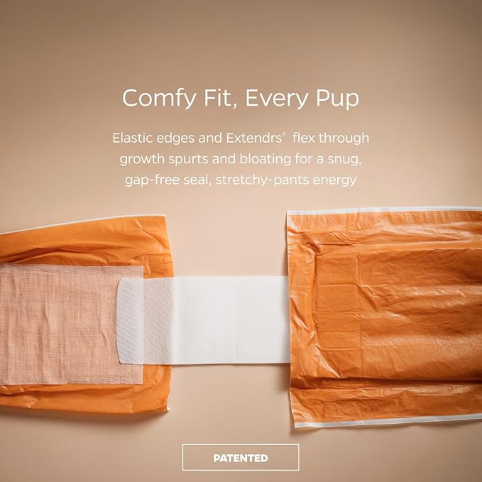 Pet Parents® DiPees® Disposable Belly Bands for Male Dogs + Extendrs®, Male Dog Wraps, Leak Proof, Up to 83% Plant Based, Premium Disposable Dog Diapers Male (Natural, Medium (16-24"), 30ct)