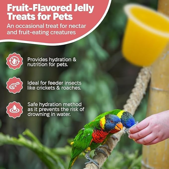 Snout and Shell Beetle Jelly for Exotic Pets – Nutrient-Rich Feeding Gel for Beetles, Insects, and Small Reptiles – Easy to Use, Mess-Free - Mango