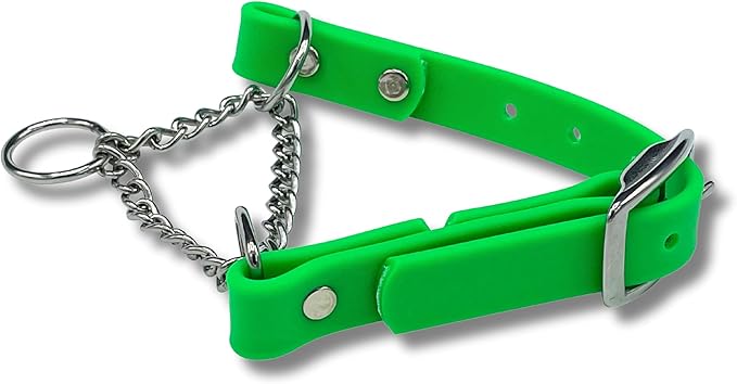 Martingale Collar for Dogs, Biothane, Stainless Steel Hardware, No Pull, Made in The USA, Professional Grade, Large, Green
