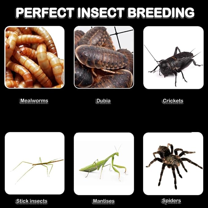 1 Pack Spider Cage Manti Feeding Box to Breed Live Worms for Small Reptile Spider Manti Insects (White)