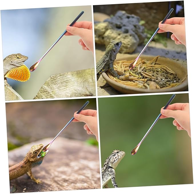 POPETPOP 3pcs Leopard Gecko Food Scoop Reptile Spoons for Wet Food Feeding Tool