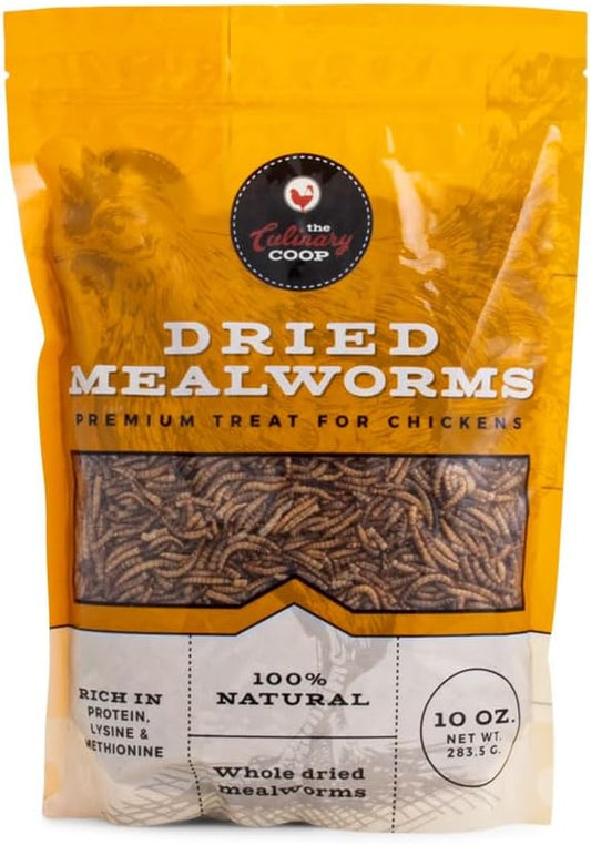 Fluker's Culinary Coop Premium Chicken Treats, Mealworms 10 oz, High Protein Worm, Nutritious Treat