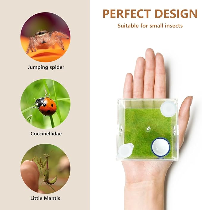 GKPONSX Acrylic Jumping Spider Enclosure, Spider Terrarium Accessories with Bowls Tongs Dropper for Snail Tarantula Scorpion Praying Mantis Isopods Insects