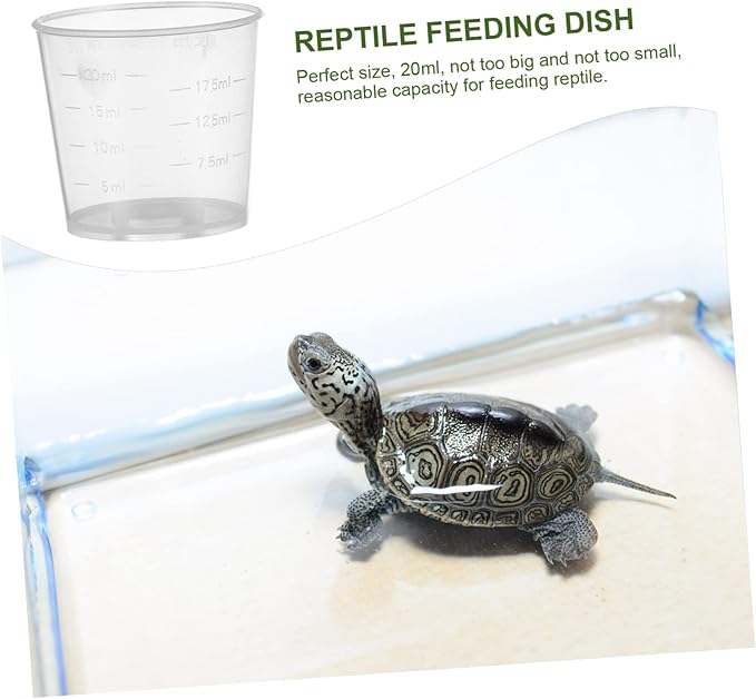 Abaodam 20Pcs Reptile Feeder Cup Measuring Cups for Gecko Lizard Pets for Food and Water Durable Reusable for Daily Feeding Needs