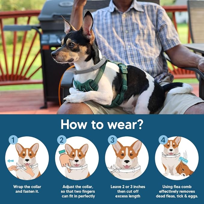 Flea Collar for Small Dogs, Flea and Tick Collar for Puppy, Small Dog Flea Collar Under 18 lbs, 8 Months Protection-2P