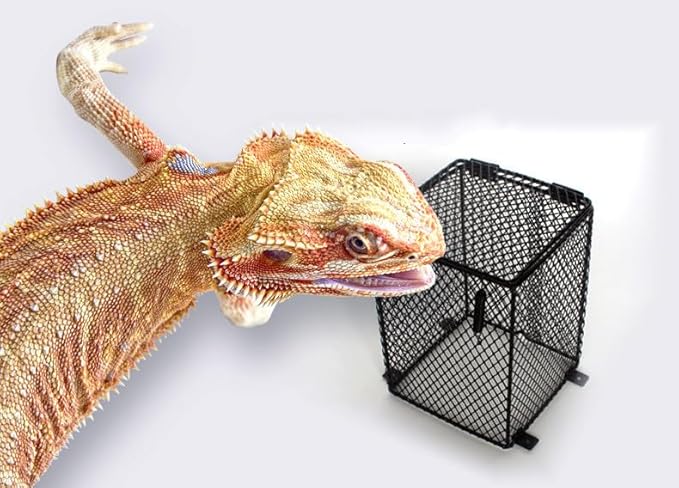 Reptile , Reptile Heating Lamp Lampshade Anti Scald Lamp Mesh Cover for Pet Reptile Amphibian Snake Lizard Turtle(Cud)