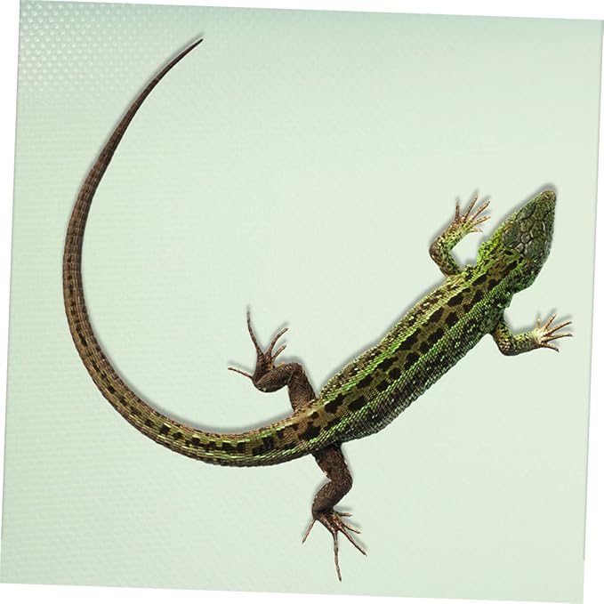Eva Reptile Carpet Mat for Terrarium Bedding Large Climbing Liner for Leopard Gecko Bearded Dragon Lizard Snake Turtle Dust Easy Clean Durable Design