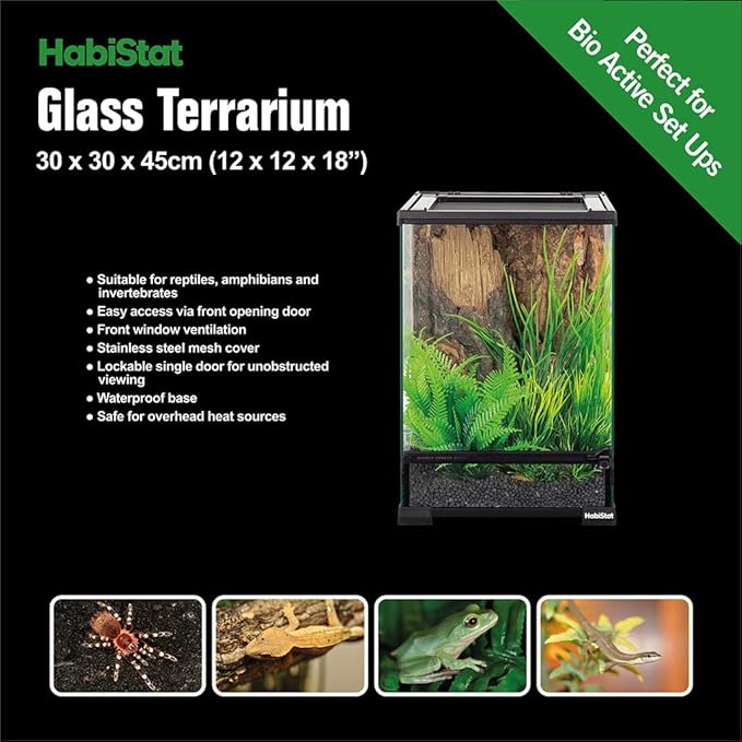Habistat Glass Terrarium for Reptiles 12"x12"x18" – Stackable Reptile Enclosure for Inverts & Amphibians with Lock & Waterproof Base, Ideal Terrarium Tank for Chameleons, Geckos and Bioactive Setups