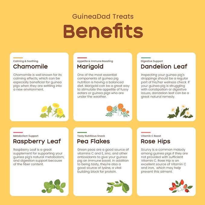 GuineaDad Organic Treat Sampler - Guinea Pig Herbal Treats - Guinea Pig Food in 6 Flavors - 6 Pack - Guinea Pig Treats Help with Bonding - High in Nutrition, No Preservatives, No Additives