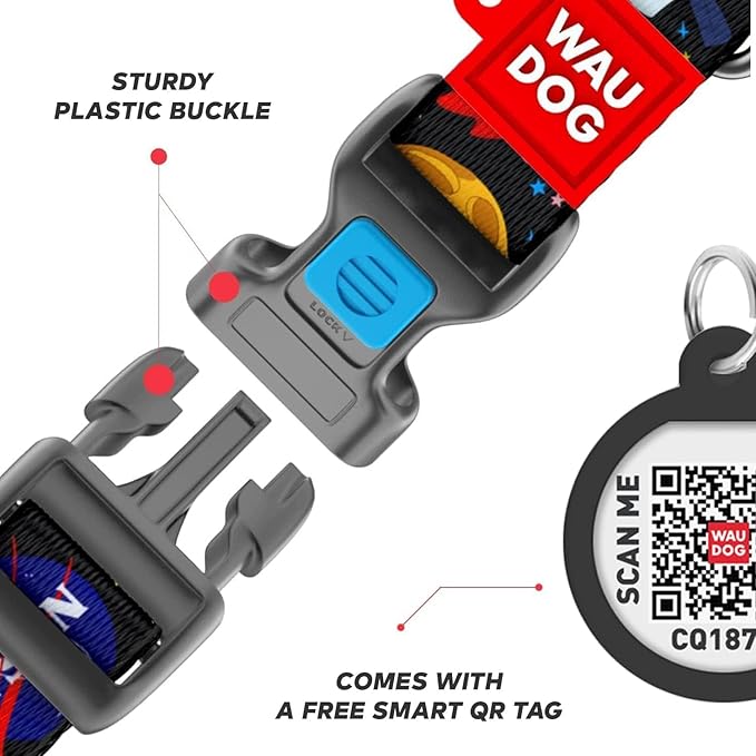 Nylon Dog Collar and Leash Set - Adjustable Dog Collar for Large Dogs, Small & Medium Dogs - Puppy Collars for Large Breed - Boy & Girl Collars with Durable Plastic Buckle and QR Tag