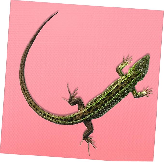 COLLBATH Reptile Carpet Substrate for Terrarium Non Stick Surface for Leopard Gecko Lizard Snake Tortoise Durable and Easy to Clean Reptile Mat