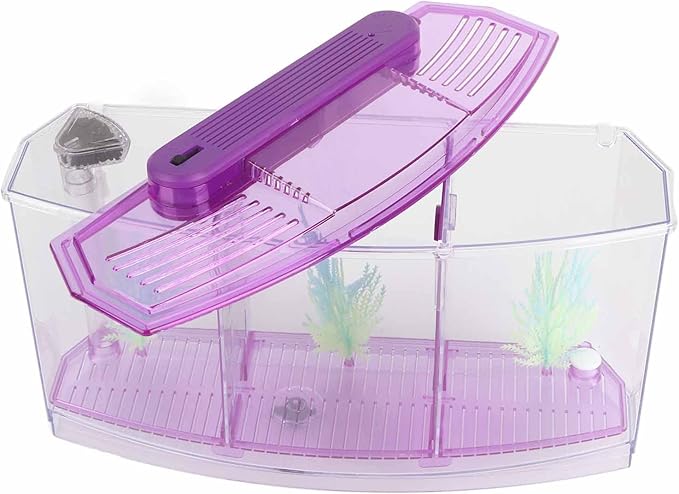 Betta Fish Tank, Adjustable Light Breeding Fish Tank with LED Light,Incubator Mini Fish Tank LED Acrylic Three Divisions Breeding Isolation Box for Small Fishes(Purple)