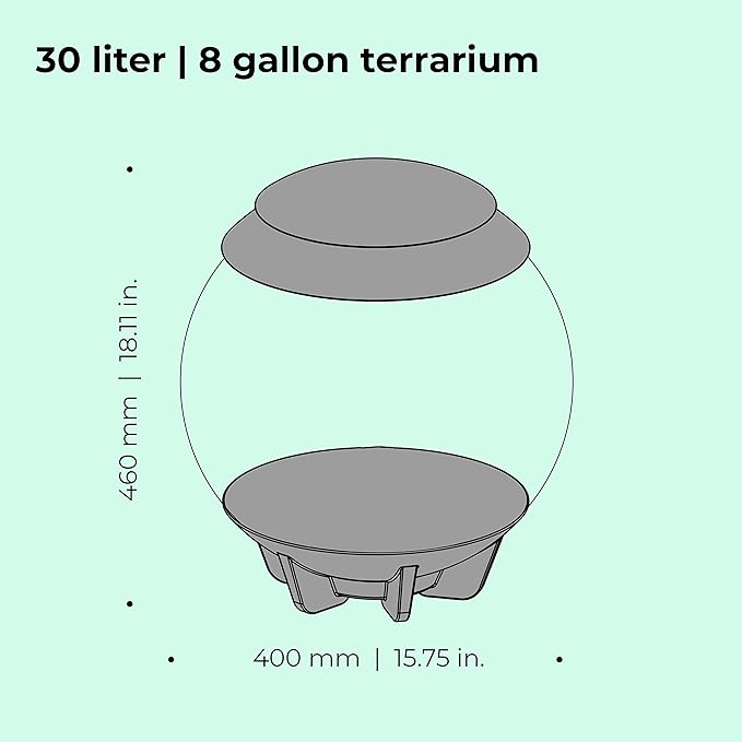 biOrb AIR 30, Fully Automated Terrarium for Arid, Temperate, or Tropical Plants, Gray
