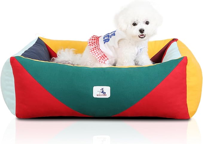 290 GSM Cotton Canvas Dog Couch Bed, Washable Removable Cover, Tough Bolster with Supportive Chopped Foam, Anti-Slip Bottom (Small)
