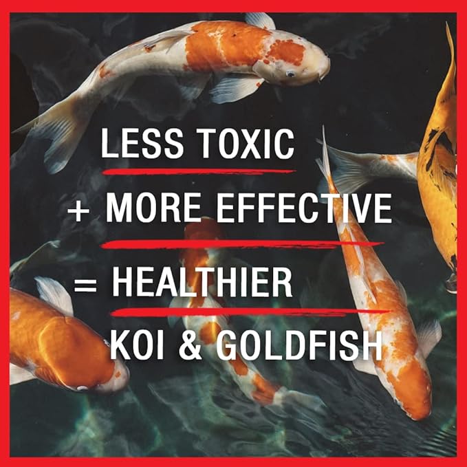 MICROBE-LIFT Broad Spectrum Disease Treatment for Ponds and Outdoor Water Gardens, Safe for Live Koi Fish, Goldfish, Plants, and Decor, 32 Fl Oz