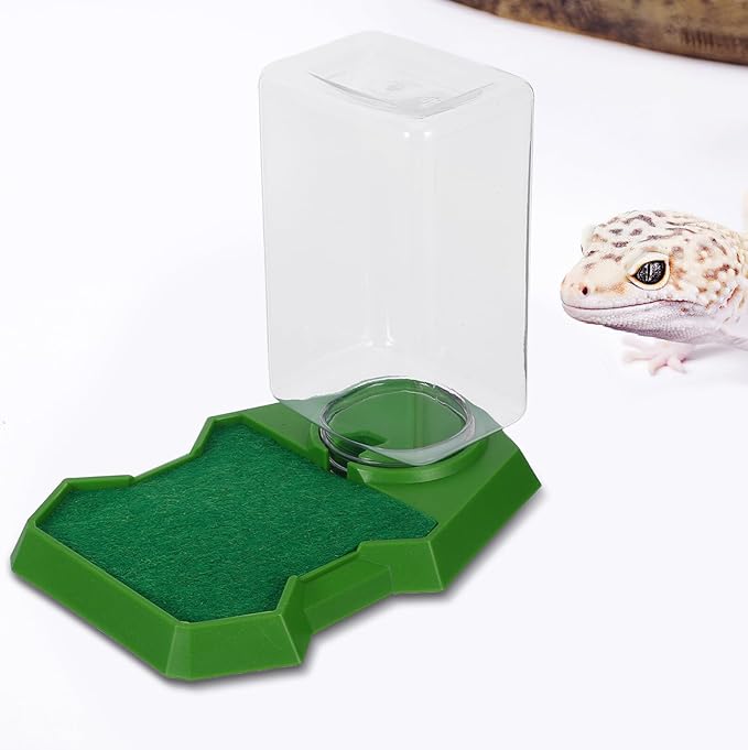 Reptile Water Dispenser and Feeding Dish, Small Green Water Feeder for Gecko and Lizard Terrarium, Hydration Accessory for Reptile Enclosure and Tortoise Care