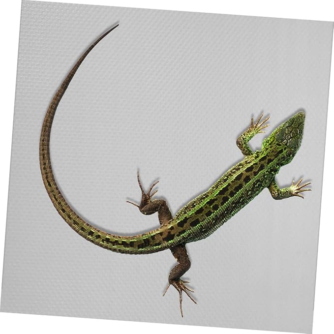 Sosoport Reptile Carpet Substrate Mat for Terrarium Durable Eva Bedding for Bearded Dragon Leopard Gecko Snake Turtle Soft Easy to Clean Reptile Liner