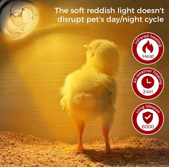 250W Heat Lamp Clear Infrared Bulbs, Flood Light Heat Lamp Bulb for Food Service, Brooder Bulb, Chicks, Pet, Bathroom, Light Therapy Use, Glass, 2 Pack