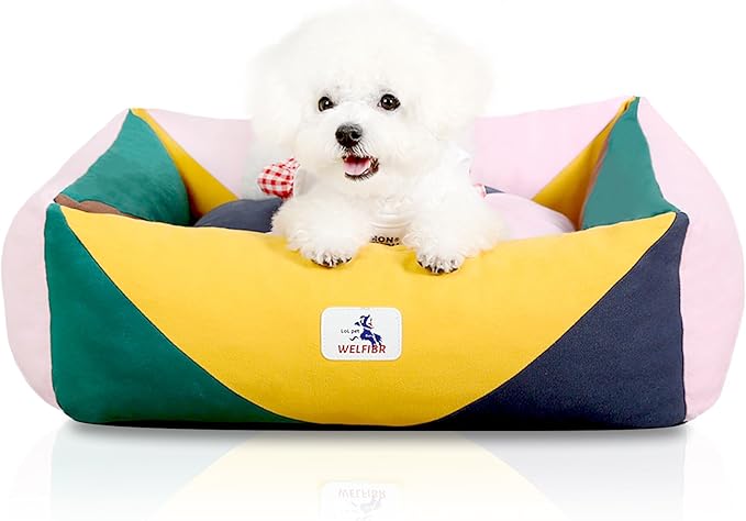 290 GSM Cotton Canvas Dog Couch Bed, Washable Removable Cover, Tough Bolster with Supportive Chopped Foam, Anti-Slip Bottom (Small)