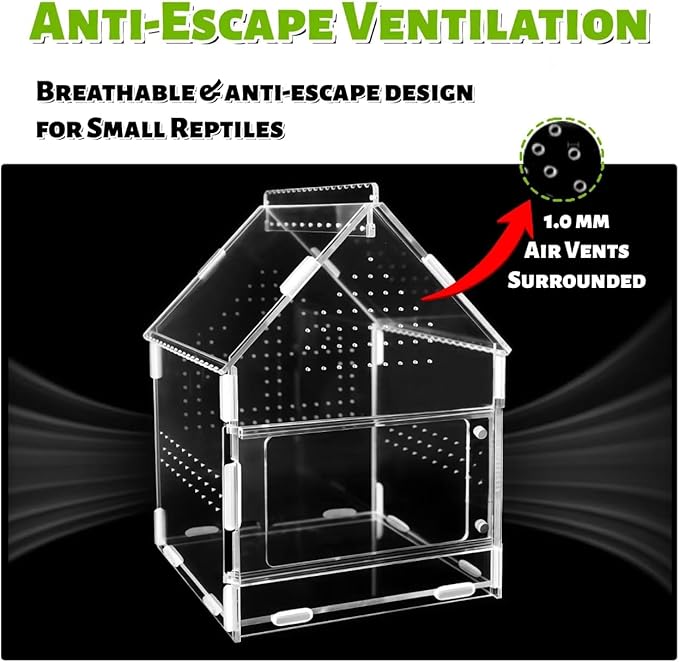 Acrylic Jumping Spider Enclosure with Magnetic Front Door - 360° View Reptile Terrarium for Tarantulas, Insects Hermit Crab - Includes Hanging Beam & Escape-Proof Ventilation (7.87x5.9x5.9 Inch)