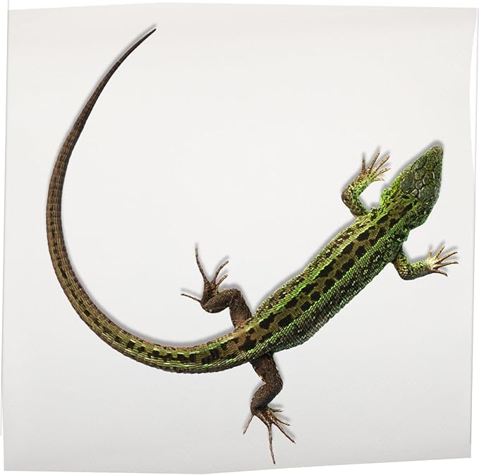 Washable Reptile Carpet Terrarium Mat for Bearded Dragon Snake Lizard Tortoise Leopard Gecko Soft Substrate Bedding Liner Light Beige