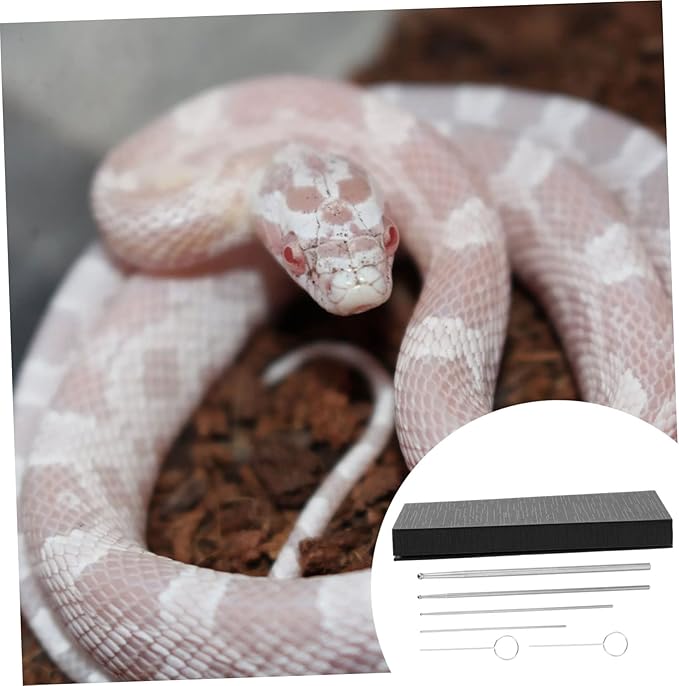 6Pcs Professional Snake Gender Detector Probe Kit for Reptile Gender Detection Toy Snake Probe for Accurate Sexing of Snakes and Reptiles