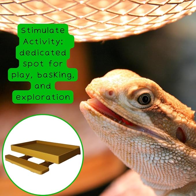 REEFSHAPE Terrarium Picnic Table for Bearded Dragons, Lizards, Geckos, and More! | Platform Accessory for Terrarium Habitats | Made in USA (Tan)