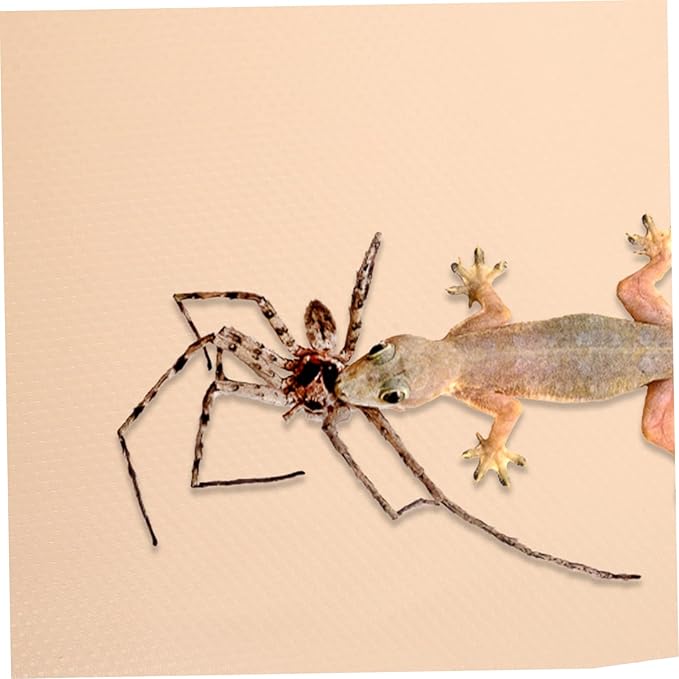 Yardwe Crawling Carpet for Reptiles Tortoise Bedding Lizard Tank Accessories Eva Mat Portable