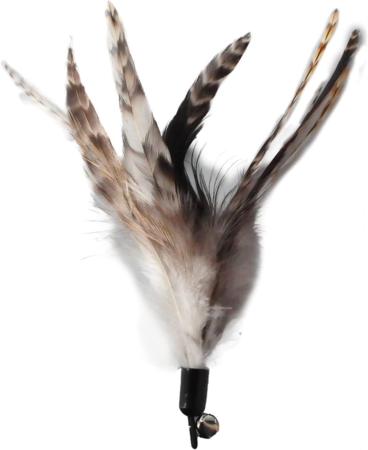 Cat Toys - No Chemical Dyeing Cat Feather Toys for Indoor Cats - Include Cat Wand and Natural Feather Refills - Image 9