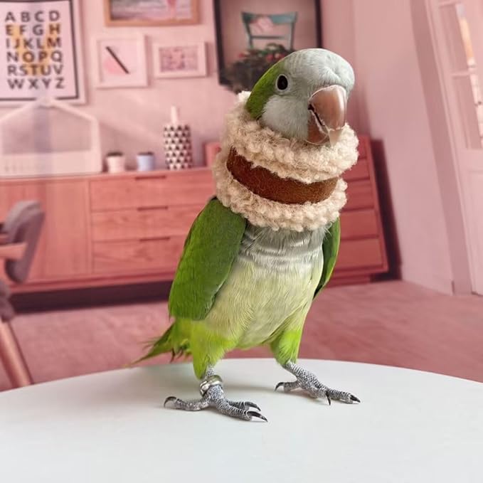 Pet Parrot Anti-Bite Elizabethan Collar, Neck Shield Anti-Grab Feather Plucking Wound Healing Safety Recovery Collar Cones for Budgerigar Lovebird Random Color (XL)