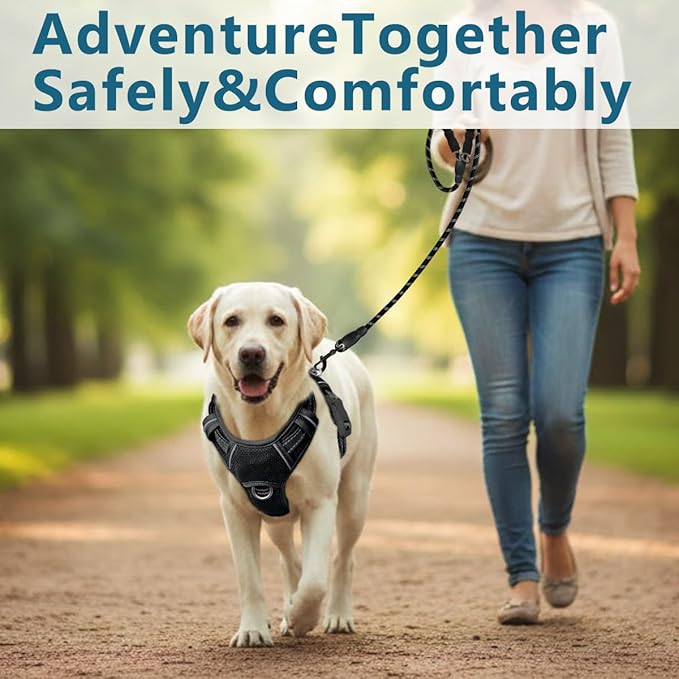 BARKBAY Dog Harness No Pull with ID Tag Pocket - Heavy Duty, Reflective, Easy Control for Large Dogs(Black,XL)