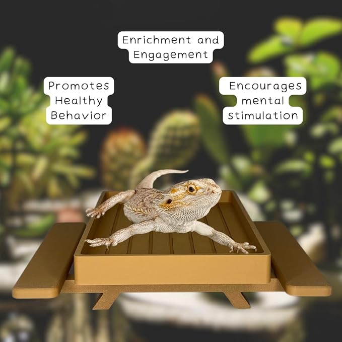 REEFSHAPE Terrarium Picnic Table for Bearded Dragons, Lizards, Geckos, and More! | Platform Accessory for Terrarium Habitats | Made in USA (Tan)