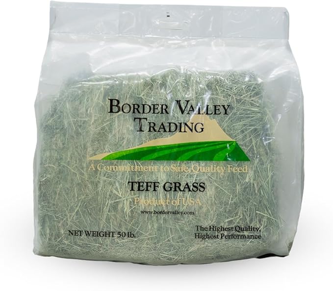 Border Valley Teff Grass Hay Bales, 50 lb - Soft Fine Stem Hay for Rabbits, Guinea Pigs, Chinchillas, Tortoises, Horses and Livestock - High Fiber Grass Bales, Farm-to-Home Freshness