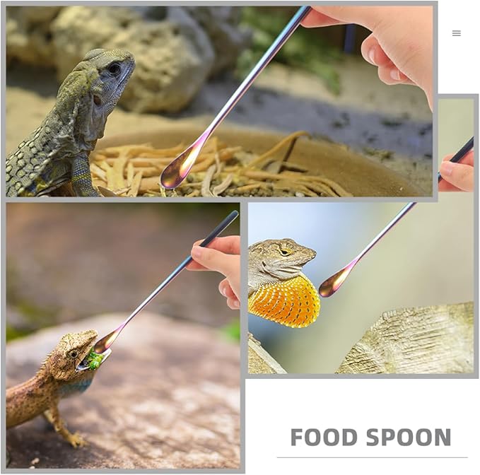BESPORTBLE 3pcs Reptile Care Small Pet Feeding Spoon Stainless Steel Lizard Food Scoop Comfortable Handling