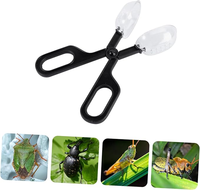 TOYANDONA 3pcs Reptile Feeding Clip Set Adjustable Plastic Feeding Clamp for Mealworm Breeding and Cleaning Tools Suitable for Lizard and Other Reptile Care