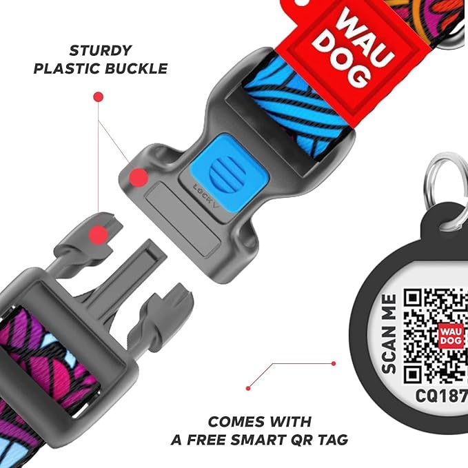 Nylon Dog Collar and Leash Set - Adjustable Dog Collar for Large Dogs, Small & Medium Dogs - Puppy Collars for Large Breed - Boy & Girl Collars with Durable Plastic Buckle and QR Tag