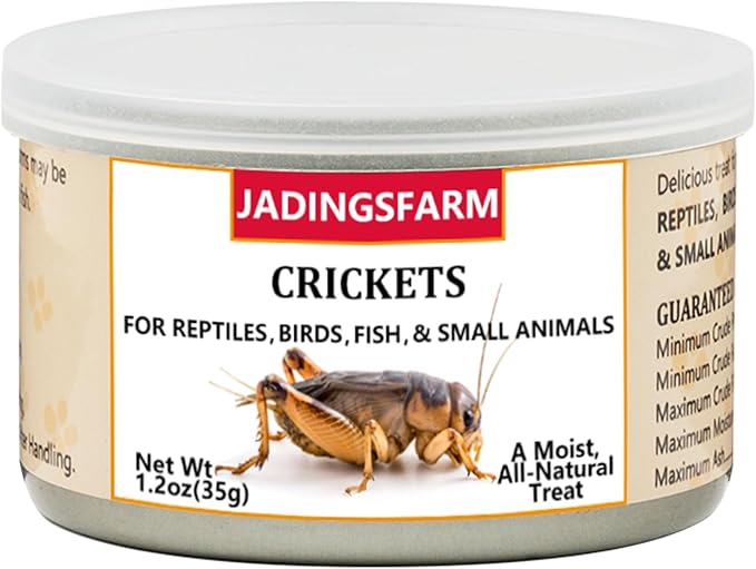 6 Pack Canned Crickets for Reptiles, Fish, Birds and Small Animals, Crickets, Healthy High Protein Treat, Reptile Bird Fish Food 7.2 Ounces Total