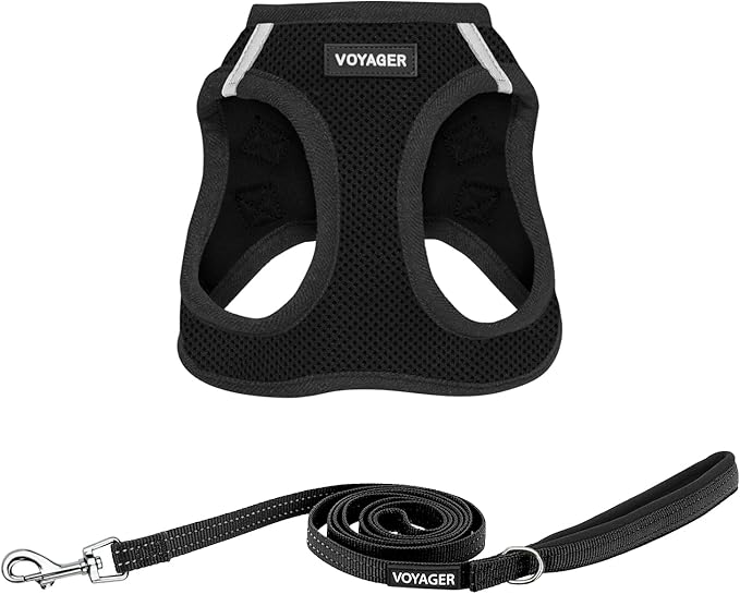 Best Pet Supplies Voyager Step-in Air All Weather Mesh Harness and Reflective Dog 5ft Leash Combo with Neoprene Handle, for Small, Medium and Large Breed Puppies - Set (Black), Medium