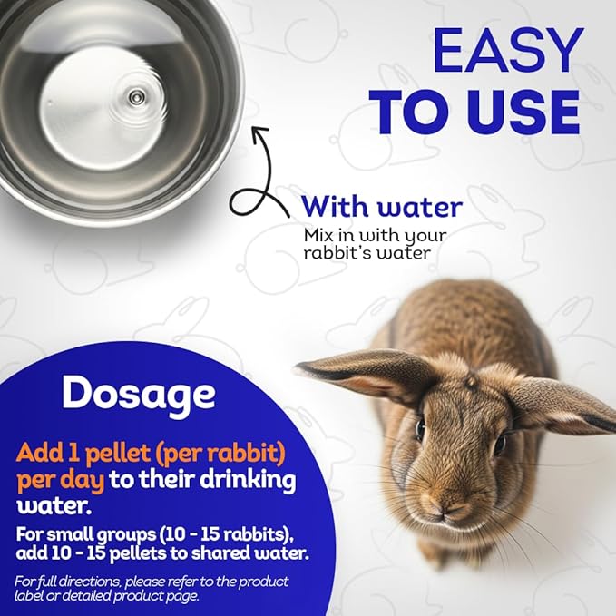 HA4E - Rabbit Gastrointestinal Stasis Treatment - Promotes Healthy Digestion & GI Stasis Relief -Natural Homeopathic Digestive Health Tablets - Pellets, Hutch Size (Extra Large)