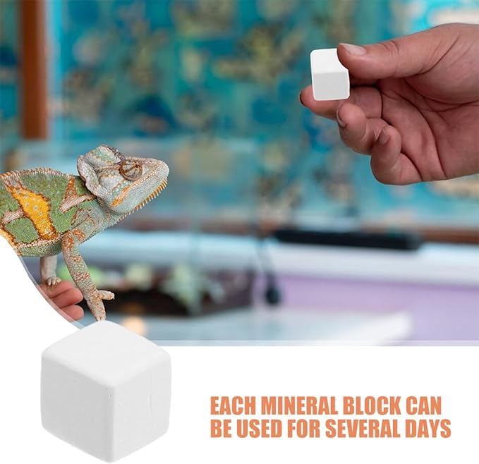 BESPORTBLE 12pcs PET Natural Blocks for Reptiles Supplement for Shell Growth and Health Essential Reptile Accessories for Terrarium Kits