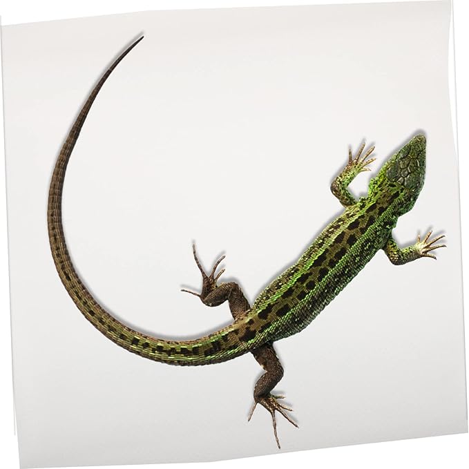 Toyvian Reptile Carpet Substrate for Terrariums Nonslip Reptile Mat for Leopard Geckos Bearded Dragons Snakes and Tortoises Easy to Clean and Cut to Fit