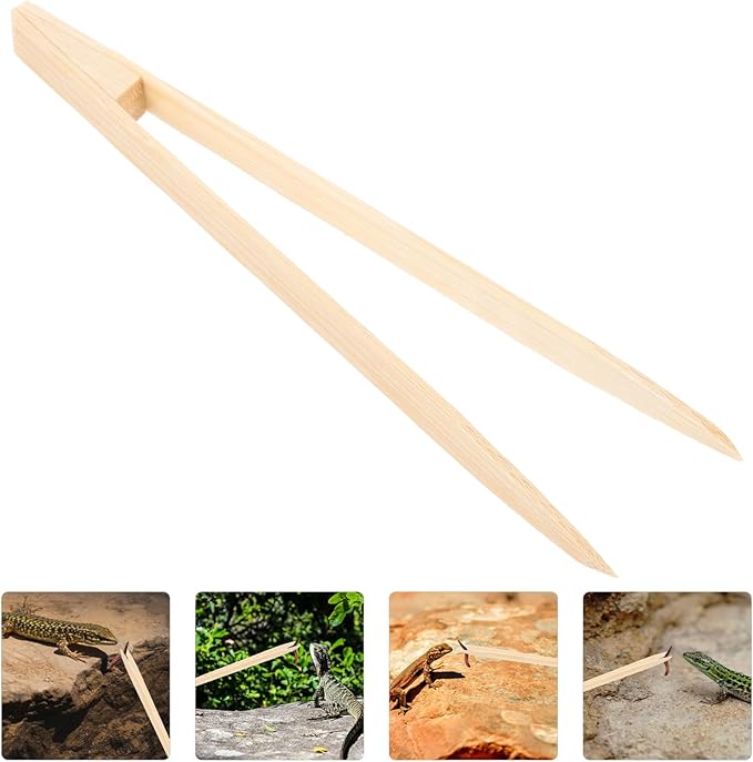 Mipcase Reptile Tweezers Non-Slip Grip Pet Feeding Tongs for Crawling Pets Safe for Terrarium