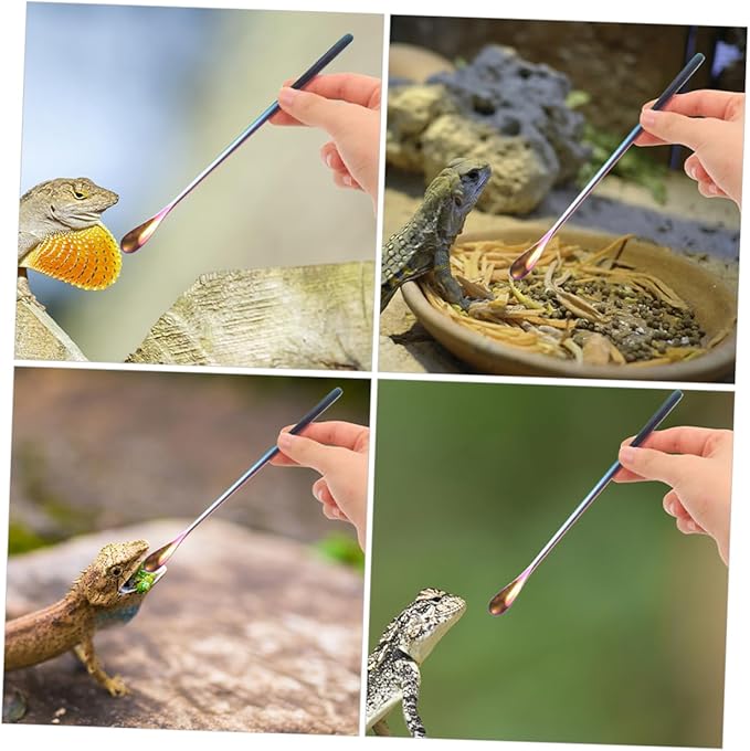 BESPORTBLE 3pcs Reptile Food Spoon Long Handle Small Pet Food Scoop for Tortoise Iguana