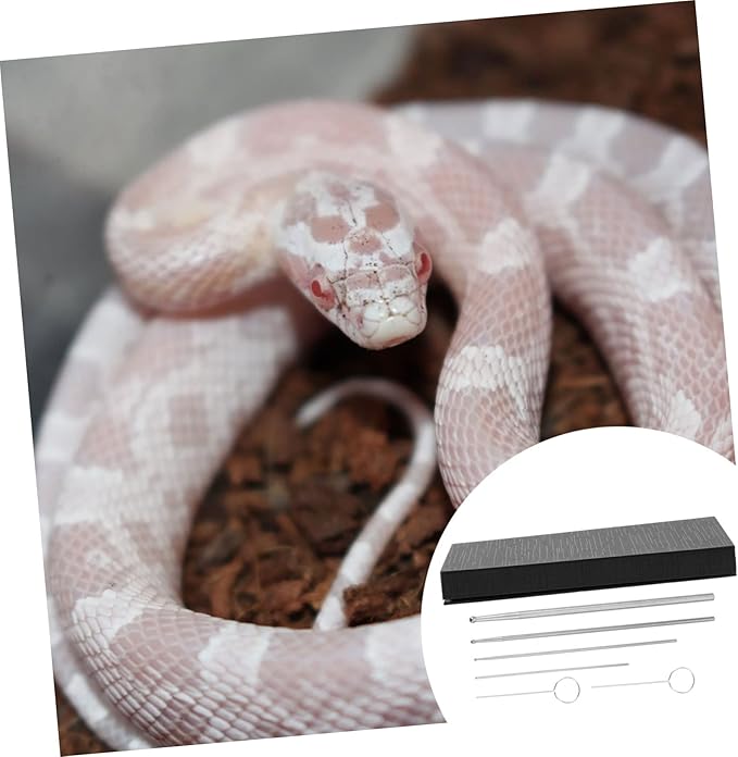 Snake Sexing Tool Snake Probe Tip Set for Reptiles Stainless Steel Material