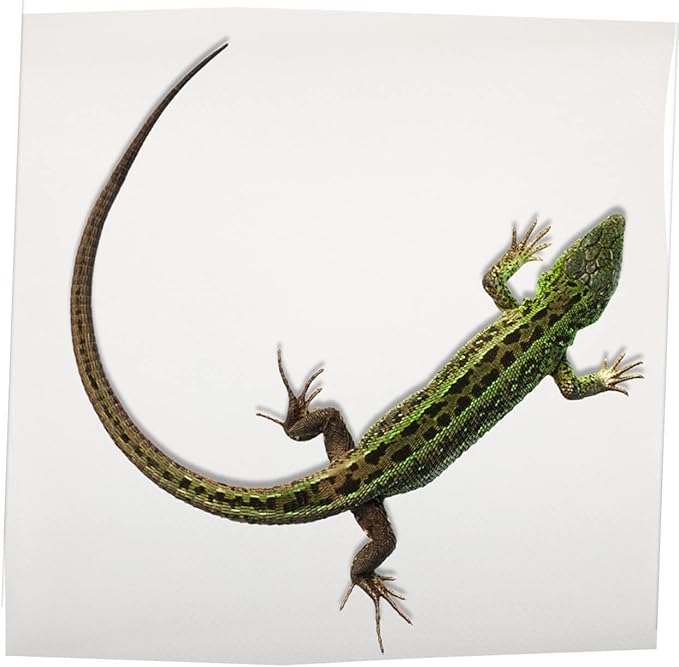 Toddmomy Reptile Carpet Mat for Terrarium Eva Substrate Bedding for Bearded Dragons Turtles Lizards and Geckos Easy to Clean Non- Reptile Cage Accessories