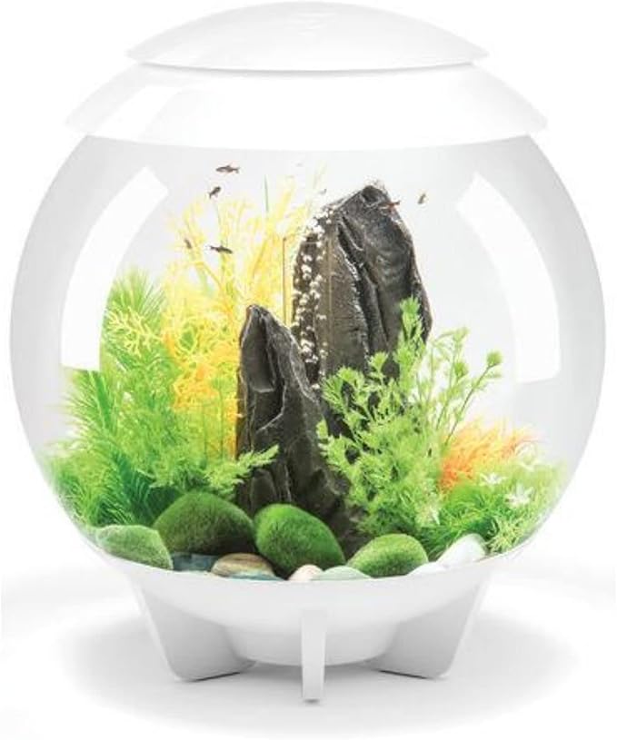biOrb Halo 30 Acrylic 8-Gallon Aquarium with Multi-Color Remote-Controlled LED Lights Modern Tank for Tabletop Display, White