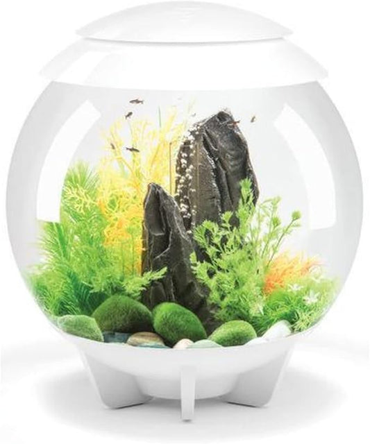 biOrb Halo 30 Acrylic 8-Gallon Aquarium with Multi-Color Remote-Controlled LED Lights Modern Tank for Tabletop Display, White