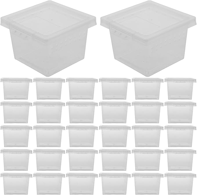 balacoo Transparent Reptile Breeding Box Mini Feeding Cage Tank with Lid 2.67X2.16X1.77 Inch Compact Lightweight Insect Habitat for Spider Scorpion Gecko Snake