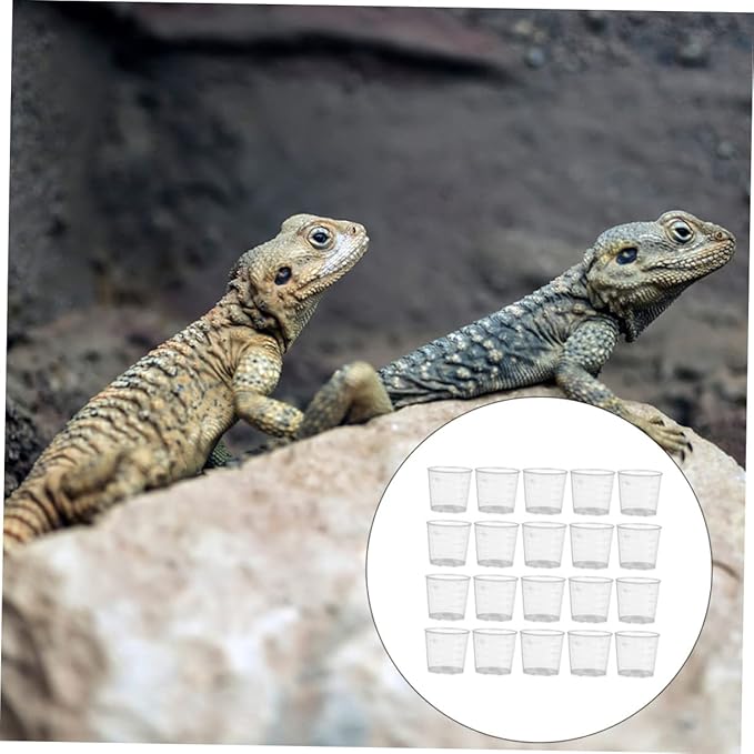 HANABASS 30pcs Reptile Feeding Bowl Set for Gecko Lizard and Turtle Accurate Measuring Cups for Pet Care