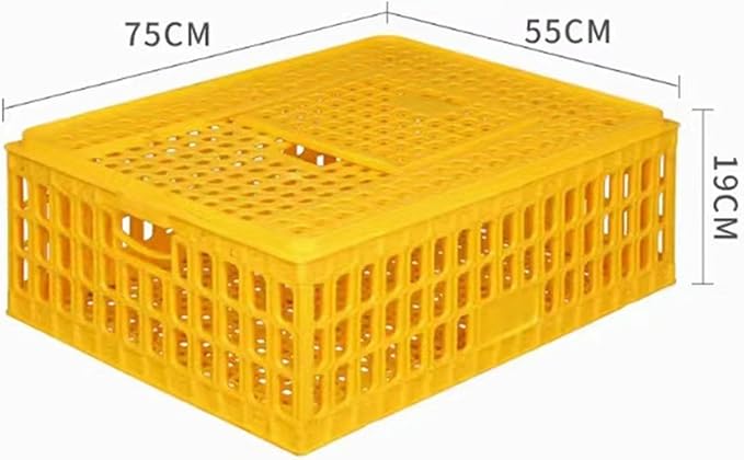 Chicken Carrier Box for Safe Transport of Hens and Pigeons, 75x55x19cm